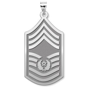 U S AirForce National Guard Chief Master Sergeant of the Air Force Pendant