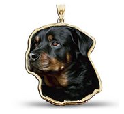 Rottweiler Dog Color Portrait Charm or Pendant