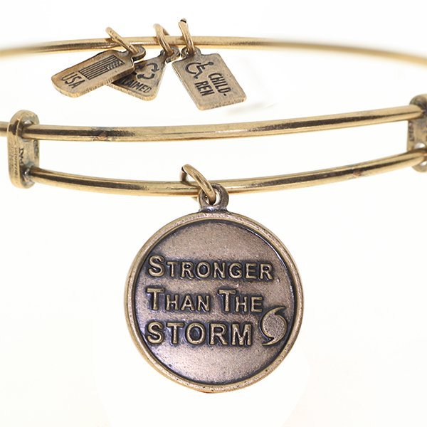Wind & Fire "Stronger Than The Storm" Expandable Bracelet PG84528