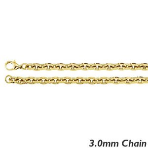 14K Yellow Gold 3 0mm Rolo Chain