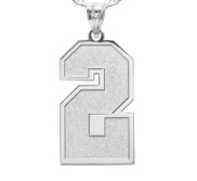 Single Number Charm or Pendant