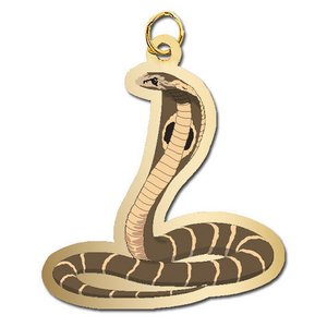 Snake   Cobra Charm