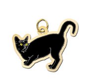Cat   Black Charm