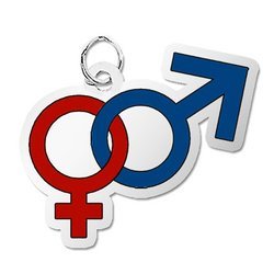 Male and Female Symbol Charm
