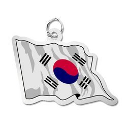 South Korea Flag Charm